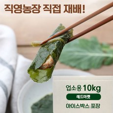 케일장아찌 인기 상품 업데이트 – Top5