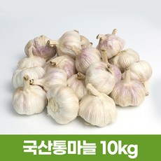 서산마늘 최고의 품질을 보장하는 제품 – Top5
