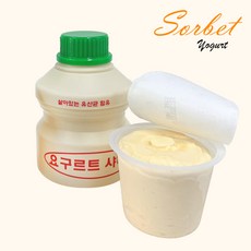 요구르트샤베트 남들은 이미 이 아이템을 사고 있습니다. 당신은 아직도 모르나요? – Top5