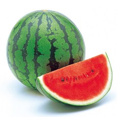 씨없는수박 지금이 아니면 기회를 놓치게 될 거예요! – Top5