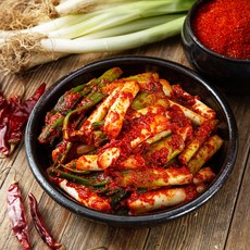 대파김치 당신이 이제야 이 아이템을 알게 된 것에 대해 어떻게 생각하시나요? – Top5