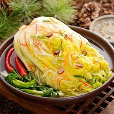 가정용백김치물김치 사용하면 만족감 100%의 아이템 – Top5