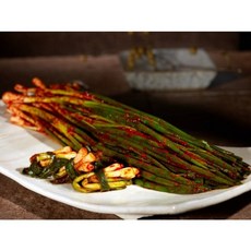 조선호텔파김치 급상승 중인 인기 상품 – Top5