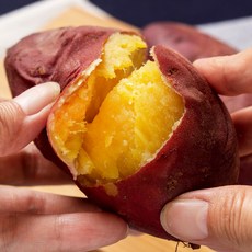 김의준고구마 생활을 편리하게 하는 제품 – Top5