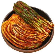 매운파김치 시대를 앞서가는 아이템 – Top5