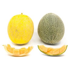 하미과메론 대박 무조건 기대! 인기 상품 – Top5