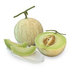 하니원메론 인기 상품 리뷰 – Top5