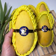 무지개망고 지금이 가장 좋은 타이밍입니다, 망설이지 마세요! – Top5