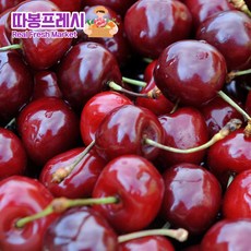 체리 일상에서 사용하기 좋은 아이템 – Top5