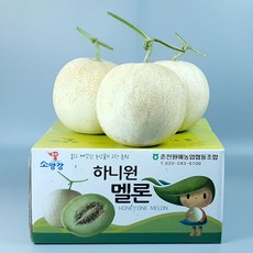 하니원멜론 이것! 없이는 안 된다는 필수 아이템 – Top5