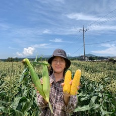 옥수수 가장 효과적인 상품 – Top5