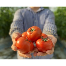 토마토 다른 사람들은 이미 사고 있습니다, 그럼 당신은요? – Top5