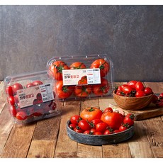 토망고 이 아이템, 어때요? – Top5