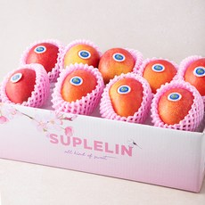 대만애플망고 인기 구매 컬렉션! – Top5