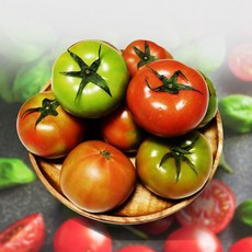 못난이토마토 2023년 최신 트렌드 아이템 – Top5