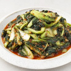 보리열무김치 친환경적인 아이템 – Top5