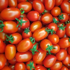 방울토마토5kg 신선한 제품 – Top5