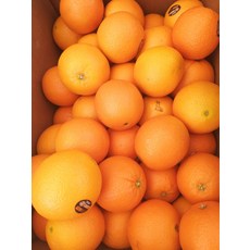 블랙라벨오렌지 사용해볼 만한 제품 – Top5