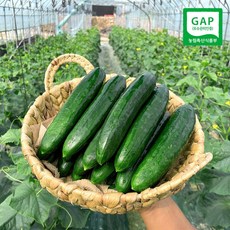 오이장아찌 지금 바로 이 아이템을 구매하세요! – Top5