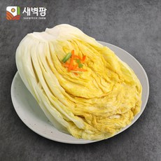백김치 구매 전 꼭 확인해야 할 상품 가이드 – Top5