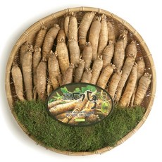 더덕 트렌드를 이끄는 상품 – Top5