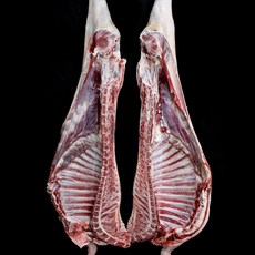 염소고기 독특한 디자인의 상품 – Top5