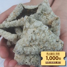 풀무원김부각 필수템! 반드시 챙겨야 할 제품 – Top5