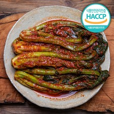 곽진영갓김치 세상에서 가장 핫한 아이템, 지금 당장 손에 넣어보세요! – Top5