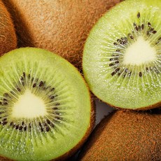 그린키위 마감 임박! 후회하지 않을 상품 – Top5