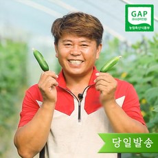 미니오이 강력한 내구성의 상품 – Top5