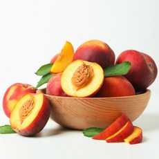 신비복숭아5kg 인생 아이템 – Top5