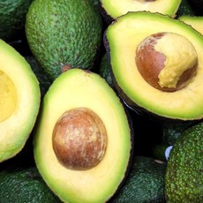 아보카도 가치 있는 아이템 추천 – Top5