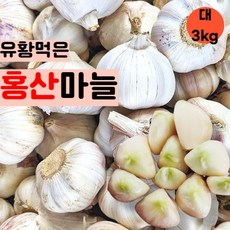 홍산마늘 시대를 앞서가는 아이템 – Top5