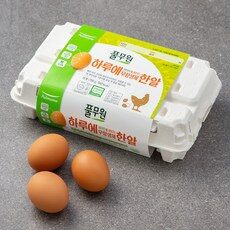 너무 인기가 좋아서 소개해요, 실제 후기도 평이 좋네요 계란이유식 상품! TOP 10에서 최고의 선택을 해보세요!
