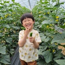 후기보고 꼼꼼히 선별한 아이템피콜리노, 이렇게 좋은건 저만 알수 없죠 피콜리노를 TOP 10 중에서 찾아보세요!