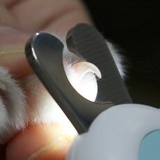 써보고 평이 가장 좋았던 상품, 사용 만족도가 높았던 러브울리 중에서 선택한 제품!