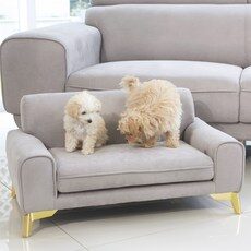 SNS에서도 난리난 그 상품!, 요즘 제일 잘팔리는 클로쉐동물쇼파를 TOP 10 중에서 확인하세요!